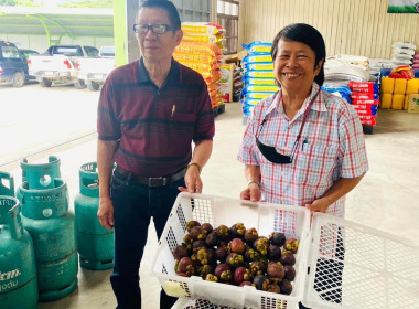 กระจายผลผลิตมังคุด มาตรฐาน GAP จากสหกรณ์การเกษตรพรหมคีรี ... พารามิเตอร์รูปภาพ 5