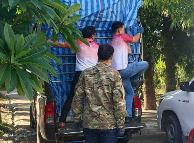 กระจายผลผลิตมังคุด มาตรฐาน GAP จากสหกรณ์การเกษตรพรหมคีรี ... พารามิเตอร์รูปภาพ 4