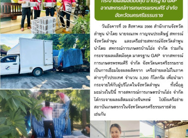 กระจายผลผลิตมังคุด มาตรฐาน GAP จากสหกรณ์การเกษตรพรหมคีรี ... พารามิเตอร์รูปภาพ 10