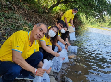 โครงการปล่อยพันธุ์สัตว์น้ำในลุ่มน้ำสำคัญของประเทศ 62 ... พารามิเตอร์รูปภาพ 5
