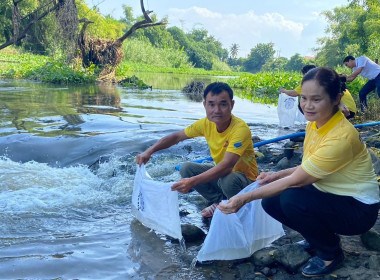 โครงการปล่อยพันธุ์สัตว์น้ำในลุ่มน้ำสำคัญของประเทศ 62 ... พารามิเตอร์รูปภาพ 6