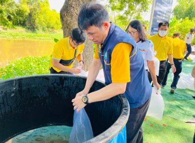 โครงการปล่อยพันธุ์สัตว์น้ำในลุ่มน้ำสำคัญของประเทศ 62 ... พารามิเตอร์รูปภาพ 7