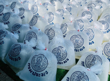 โครงการปล่อยพันธุ์สัตว์น้ำในลุ่มน้ำสำคัญของประเทศ 62 ... พารามิเตอร์รูปภาพ 13