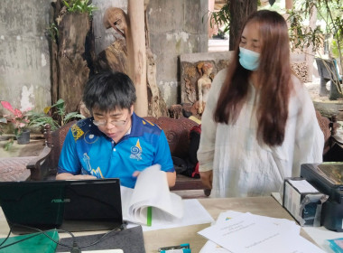 เข้าแนะนำ ส่งเสริม ... พารามิเตอร์รูปภาพ 1
