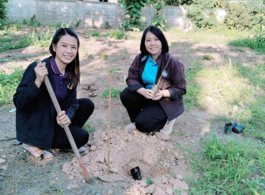 กิจกรรมวันรักต้นไม้ประจำปีของชาติ พ.ศ. 2566 พารามิเตอร์รูปภาพ 9