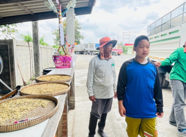 ติดตามผลการดำเนินการรวบรวมข้าวเปลือก ฤดูกาลผลิต 2566/2567 พารามิเตอร์รูปภาพ 11