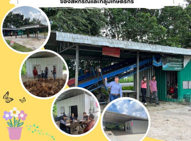 ลงพื้นที่ ติดตามการใช้ประโยชน์อุปกรณ์การตลาดของกลุ่มเกษตรกร พารามิเตอร์รูปภาพ 6
