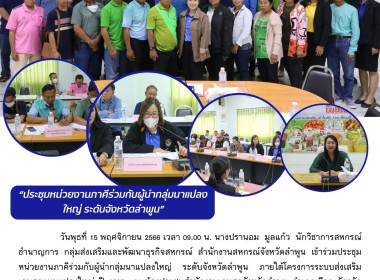 ประชุมหน่วยงานภาคีร่วมกับผู้นำกลุ่มนาแปลงใหญ่ ... พารามิเตอร์รูปภาพ 11