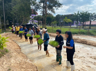 โครงการส่งเสริมและพัฒนาอาชีพเพื่อแก้ไขปัญหาที่ดินทำกินให้ชุมชนตามนโยบายรัฐบาล ... พารามิเตอร์รูปภาพ 10