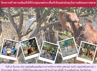 ตรวจสอบ ติดตาม ... Image 15