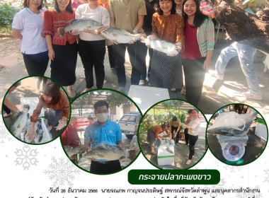 สนับสนุนกระจายปลากะพงขาวออกแหล่งผลิตในพื้นที่จังหวัดปัตตานี Image 7