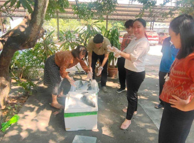 สนับสนุนกระจายปลากะพงขาวออกแหล่งผลิตในพื้นที่จังหวัดปัตตานี Image 2