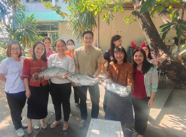 สนับสนุนกระจายปลากะพงขาวออกแหล่งผลิตในพื้นที่จังหวัดปัตตานี Image 4