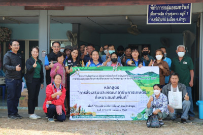 โครงการส่งเสริมและพัฒนาอาชีพเพื่อแก้ไขปัญหาที่ดินทำกินของเกษตรกร ... Image 1