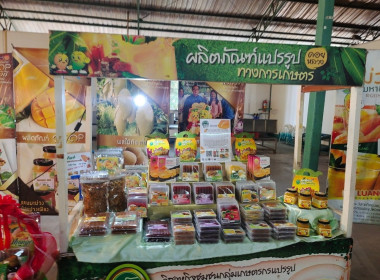 อบรมโครงการส่งเสริมและพัฒนาสินค้าเกษตรอัตลักษณ์พื้นถิ่น Image 7