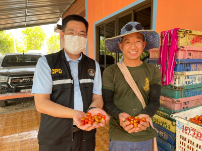 ลงพื้นที่เพื่อแนะนำ ส่งเสริม สนับสนุน สหกรณ์และกลุ่มเกษตรกร Image 1