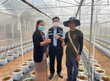 ลงพื้นที่เพื่อแนะนำ ส่งเสริม สนับสนุน สหกรณ์และกลุ่มเกษตรกร Image 2