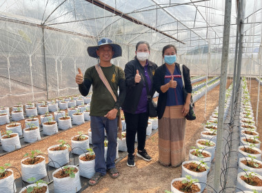 ลงพื้นที่เพื่อแนะนำ ส่งเสริม สนับสนุน สหกรณ์และกลุ่มเกษตรกร Image 1
