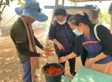 ลงพื้นที่เพื่อแนะนำ ส่งเสริม สนับสนุน สหกรณ์และกลุ่มเกษตรกร Image 6