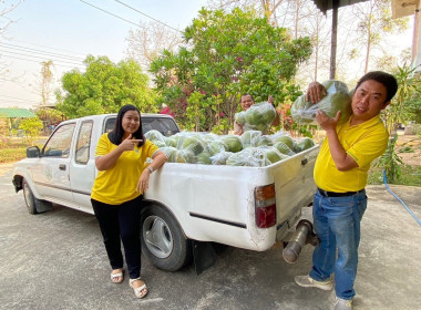 กระจายสินค้าส้มโอขาวใหญ่ ของสหกรณ์การเกษตรบางคนฑี จำกัด ... Image 2