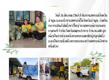 กระจายสินค้าส้มโอขาวใหญ่ ของสหกรณ์การเกษตรบางคนฑี จำกัด ... Image 9
