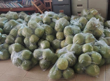 กระจายสินค้าส้มโอขาวใหญ่ ของสหกรณ์การเกษตรบางคนฑี จำกัด ... Image 6
