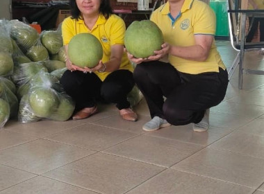 กระจายสินค้าส้มโอขาวใหญ่ ของสหกรณ์การเกษตรบางคนฑี จำกัด ... Image 3