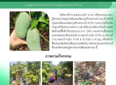 ติดตามงานโครงการส่งเสริมและพัฒนาสินค้าเกษตรอัตลักษณ์พื้นถิ่น ปีงบประมาณ พ.ศ. 2567 ... Image 7