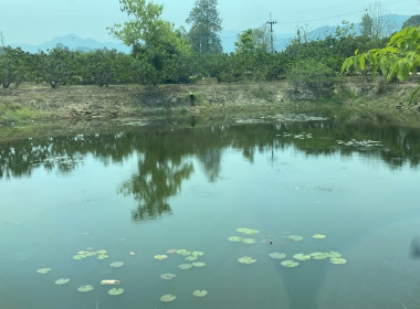 ติดตาม สอบถามข้อมูลการผลิตของเกษตรกรในพื้นที่ คทช. ... Image 15