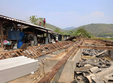 ตรวจเยี่ยมฟาร์มสมาชิกสหกรณ์โคนมลำพูน จำกัด Image 5