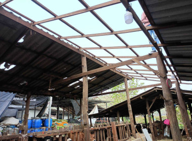 ตรวจเยี่ยมฟาร์มสมาชิกสหกรณ์โคนมลำพูน จำกัด Image 6