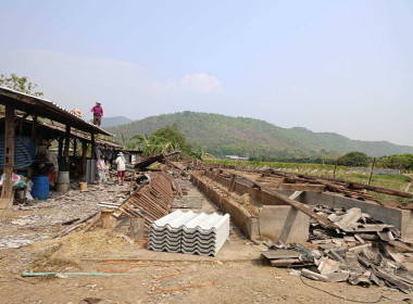 ตรวจเยี่ยมฟาร์มสมาชิกสหกรณ์โคนมลำพูน จำกัด Image 7