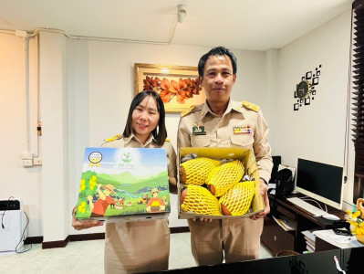 เชิญชวนซื้อมะม่วงคุณภาพของเกษตรกรชาวสวนมะม่วงจังหวัดลำพูน Image 1
