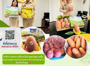 เชิญชวนซื้อมะม่วงคุณภาพของเกษตรกรชาวสวนมะม่วงจังหวัดลำพูน Image 9