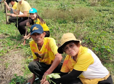 กิจกรรมปลูกต้นไม้ และปล่อยพันธุ์ปลา ... Image 6